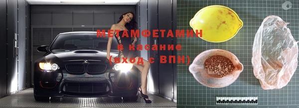 индика Новодвинск