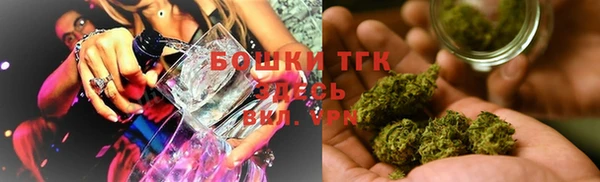 индика Новодвинск