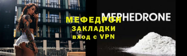 индика Новодвинск