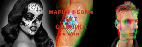 индика Новодвинск