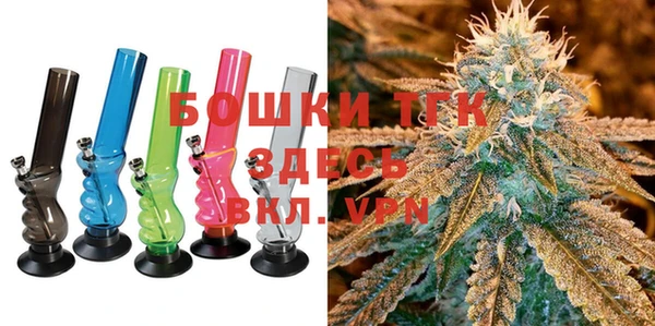 индика Новодвинск