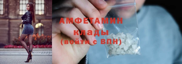 индика Новодвинск