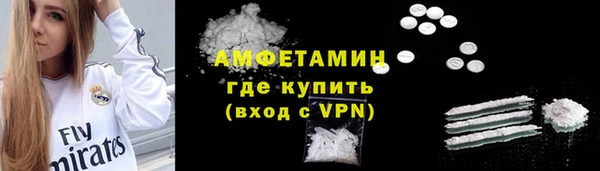 индика Новодвинск