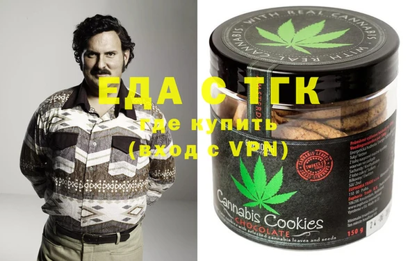 индика Новодвинск