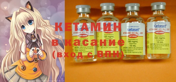 индика Новодвинск