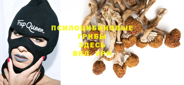 МДМА Новозыбков