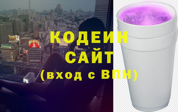индика Новодвинск