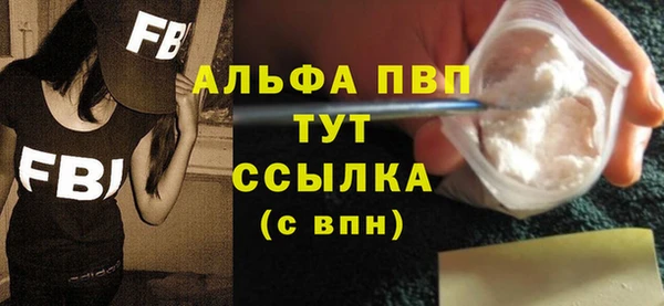 индика Новодвинск