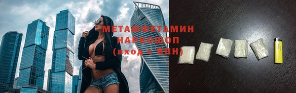 индика Новодвинск