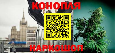 ГАЛЛЮЦИНОГЕННЫЕ ГРИБЫ Канаш