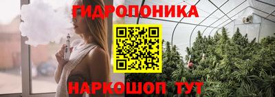 ECSTASY Кандалакша