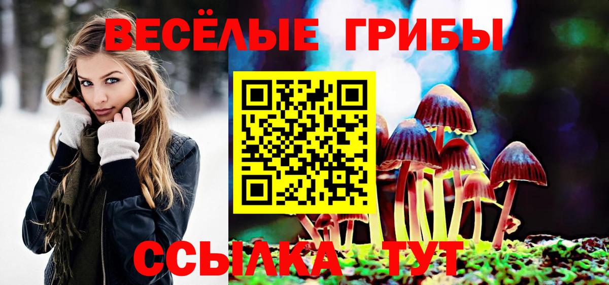 Галлюциногенные грибы Psilocybine cubensis Новокубанск