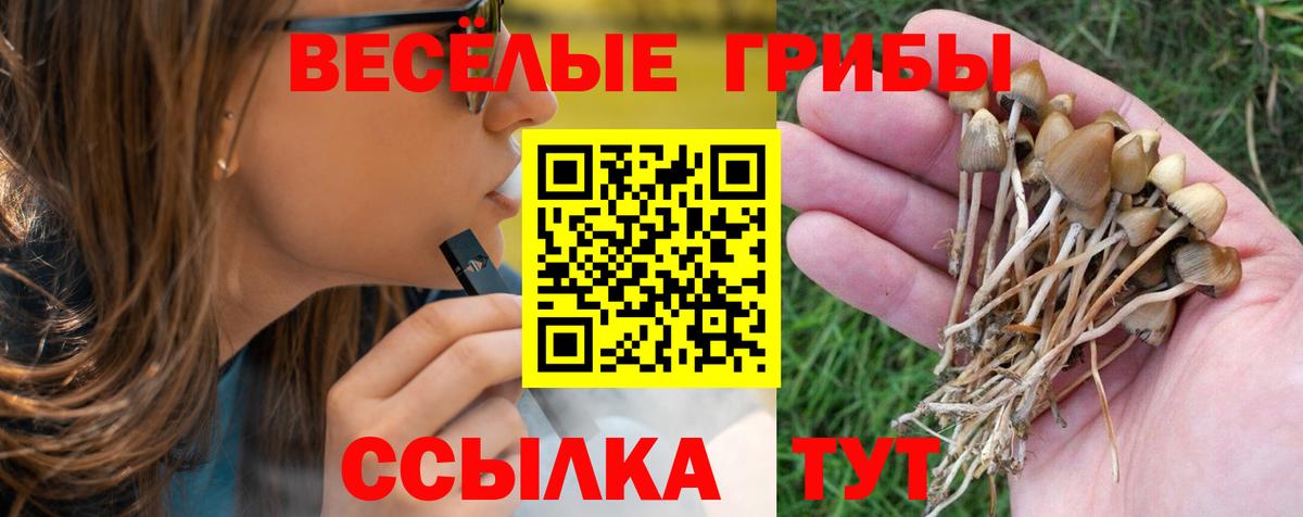 Галлюциногенные грибы MAGIC MUSHROOMS  Новокубанск  Псилоцибиновые грибы прущие грибы 